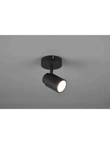 Trio Lighting - Angelo IP44 880400132 | TavaGaisma.lv