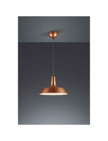 Pendant lamp Will