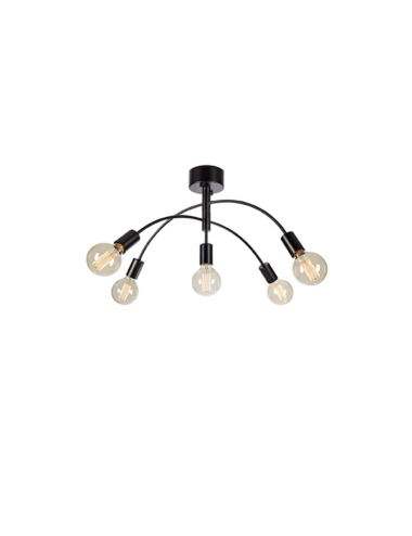 Ceiling lamp Cygnus