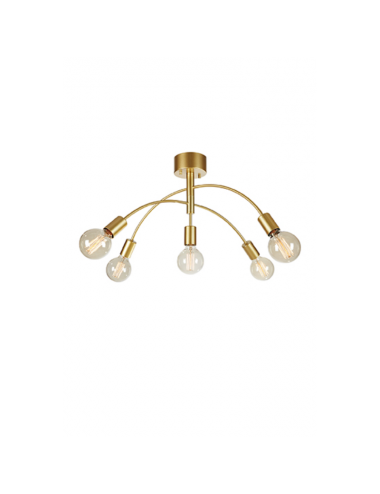 Ceiling lamp Cygnus