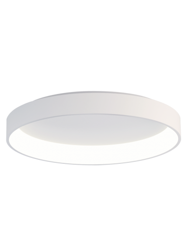 Ceiling lamp Dilga 90