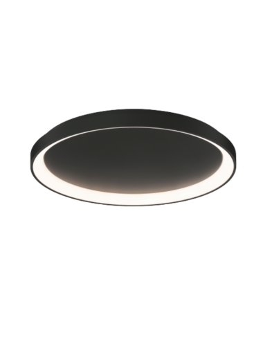 Ceiling lamp Grace 58