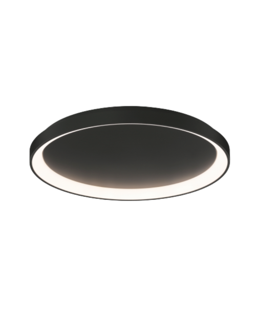 Griestu lampa Grace 58