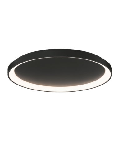 Griestu lampa Grace 78