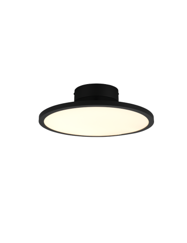 Ceiling lamp Tray