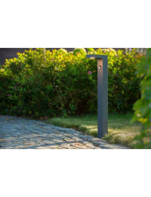 Garden lamp Texas-IR IP54