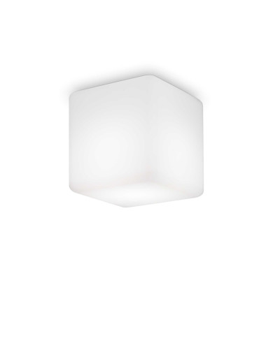 Ceiling lamp Luna pl1 IP44