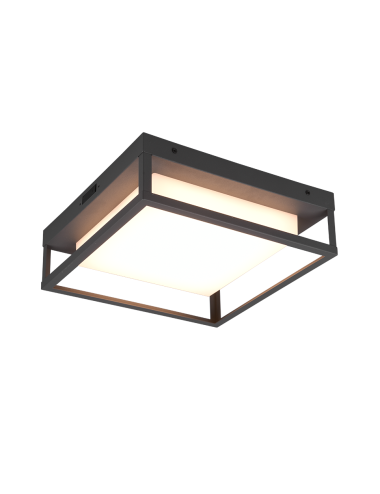 Ceiling lamp Witham IP54