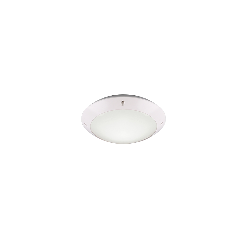 Ceiling lamp Camaro IP54