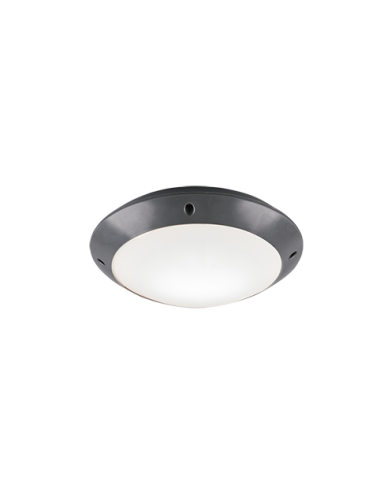 Ceiling lamp Camaro IP54