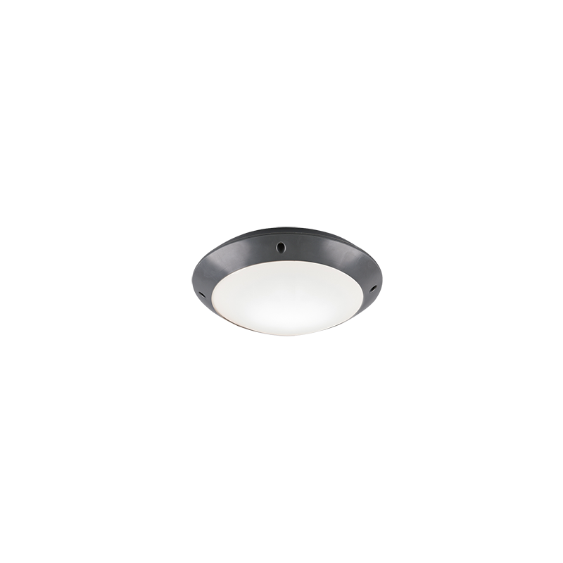 Ceiling lamp Camaro IP54