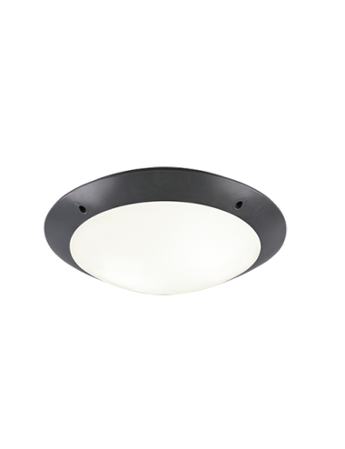 Ceiling lamp Camaro IP54