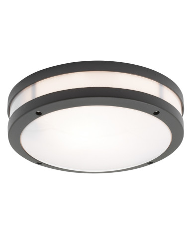 Ceiling lamp Chios IP54