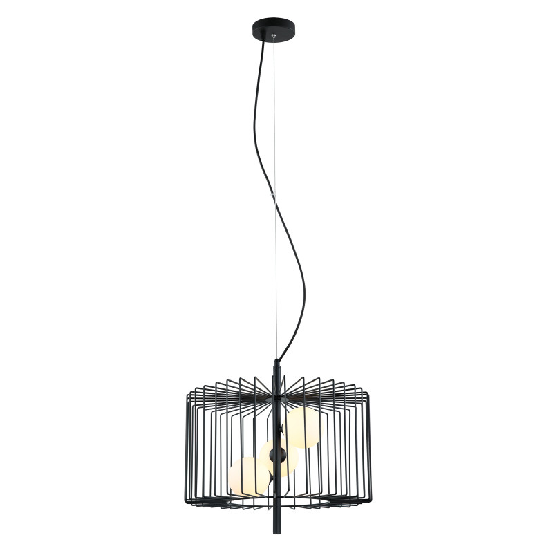 Pendant lamp Daren