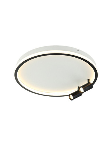 Ceiling lamp 22014