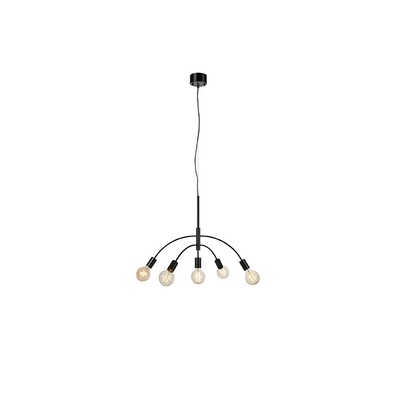 Pendant lamp Cygnus