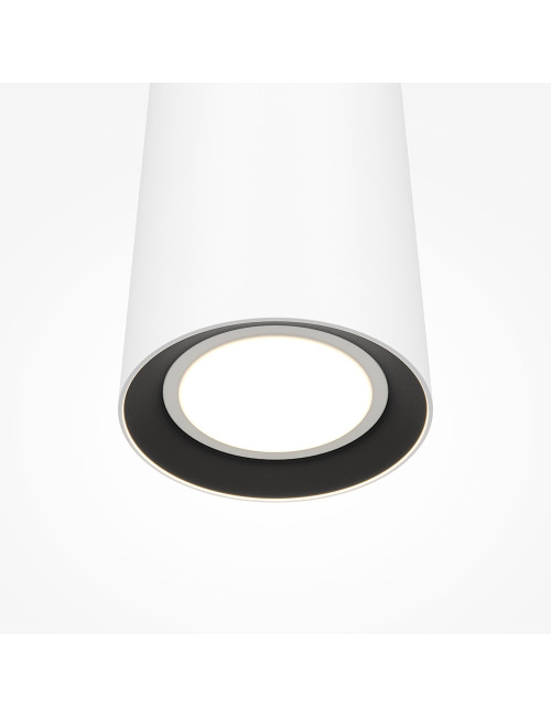 Pendant lamp Pro Focus