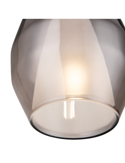 Pendant lamp Duality