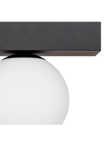 Ceiling lamp Sphere 1206 | Zuma Line | TavaGaisma.lv/en