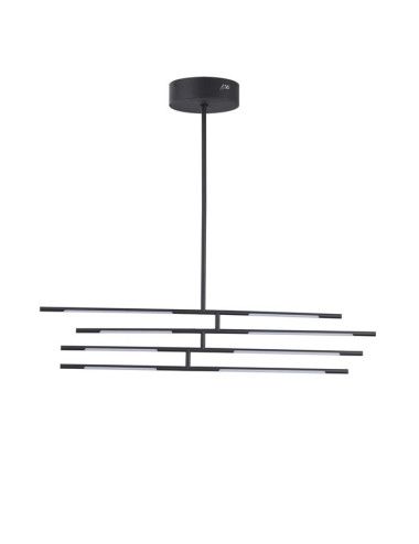 Pendant lamp Raccio LED