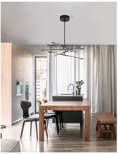 Pendant lamp Raccio LED